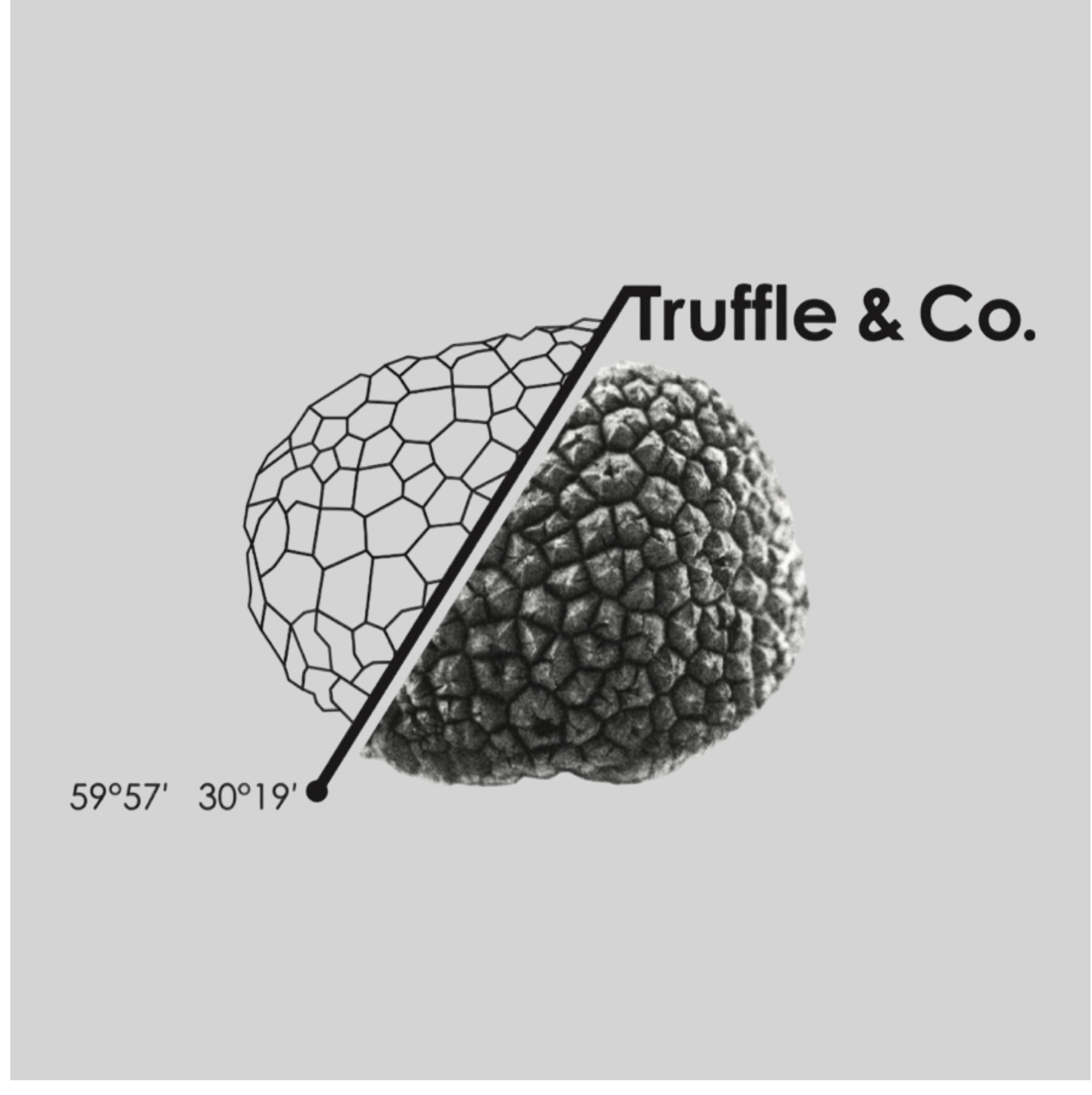 TRUFFLE&CO