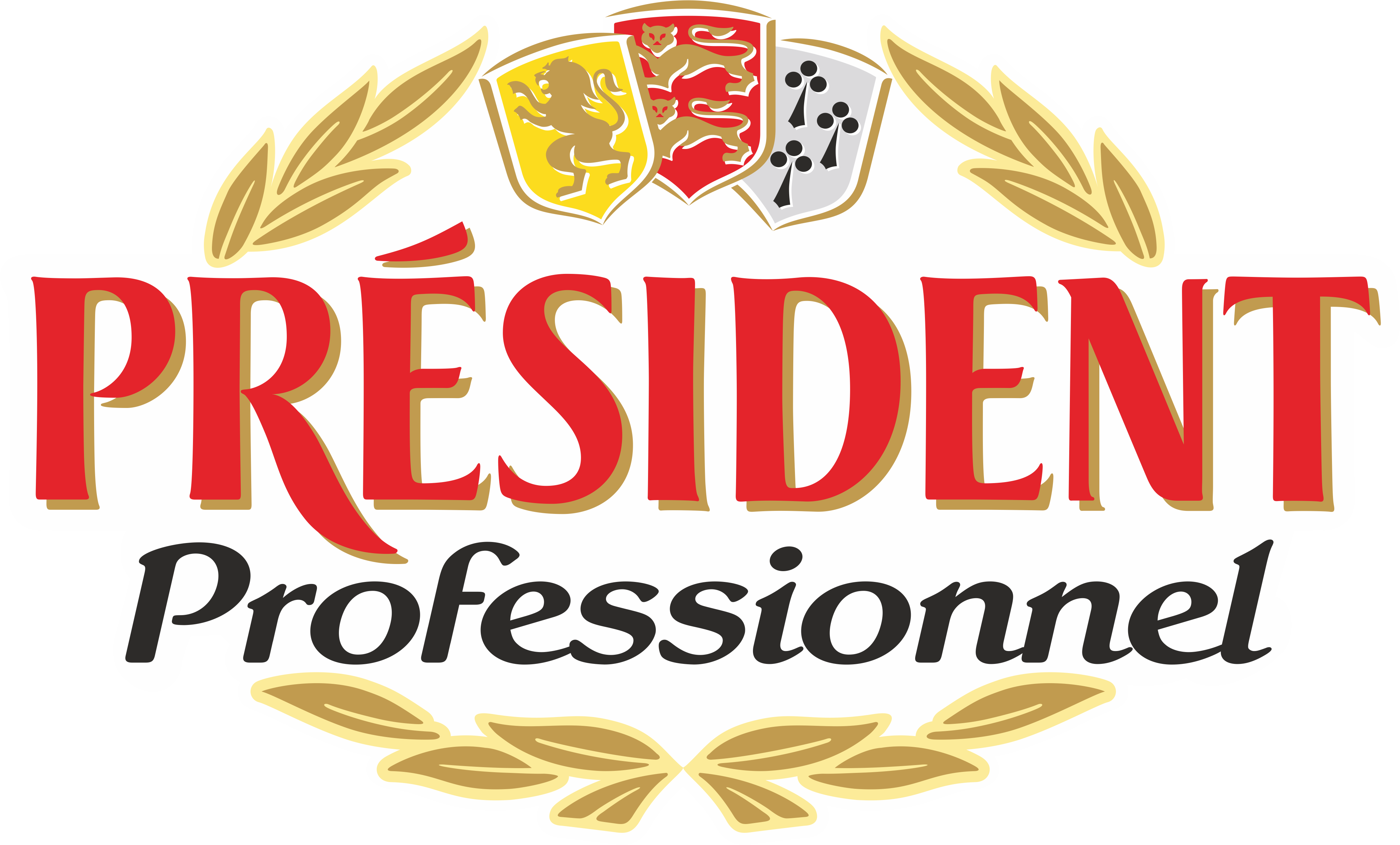 PRESIDENT PROFESSIONNEL