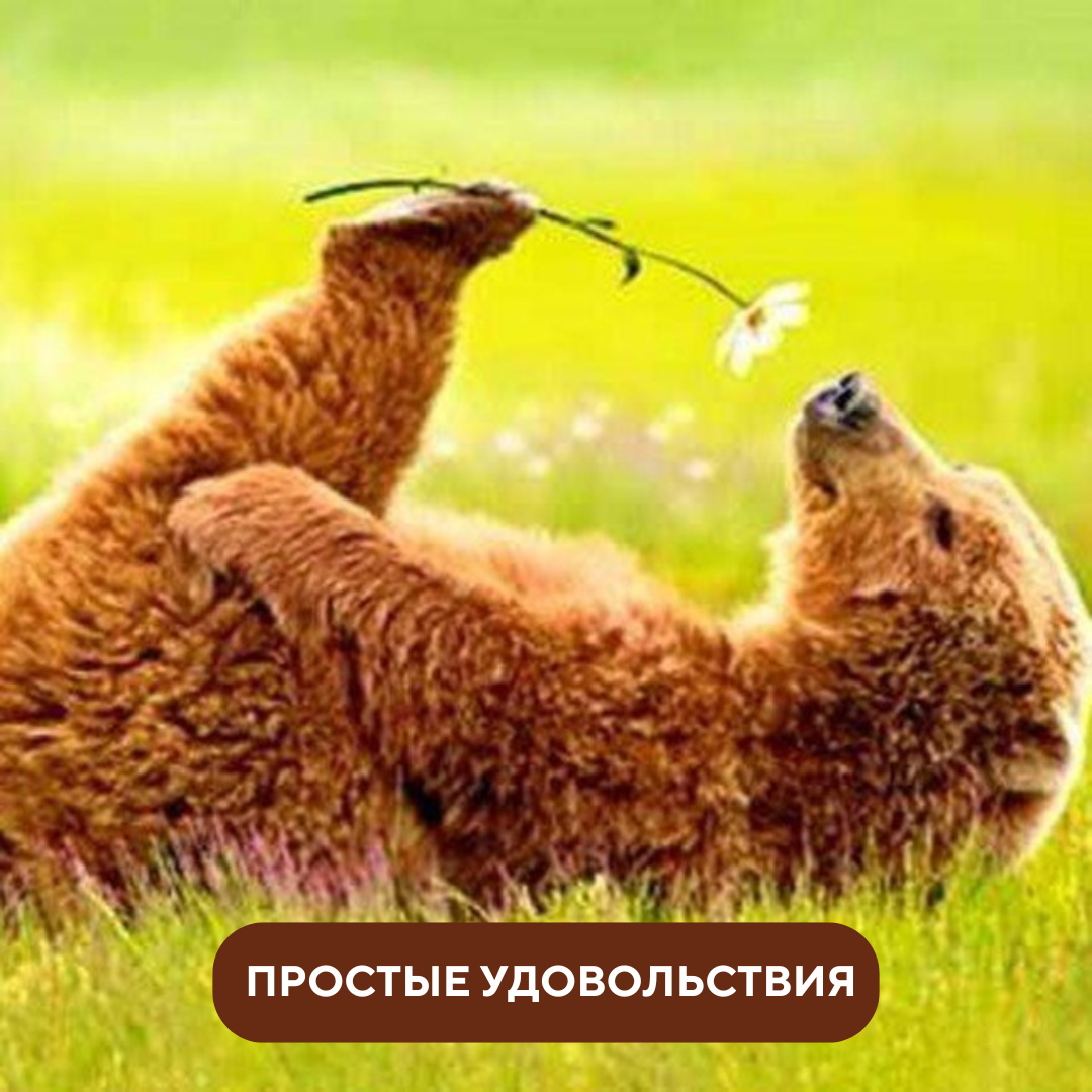 Простые удовольствия