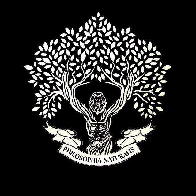 Атлас Любопытного Человека️